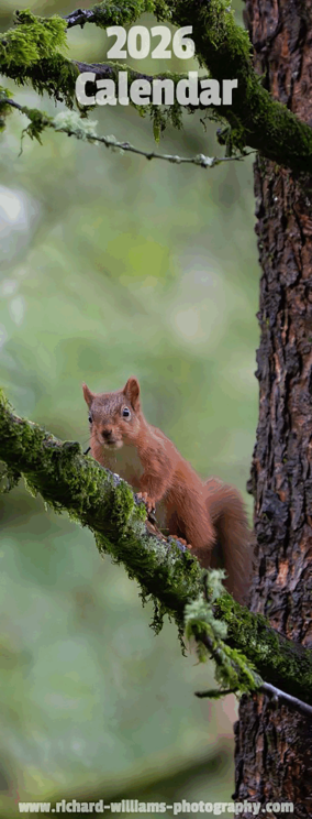 front cover Elarge 300dpi